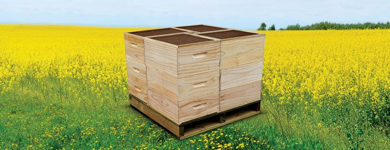 beehive boxes and woodware by tumu timbers