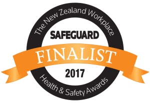 safeguard awards finalist logo 300